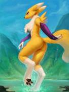 More Renamon [F] (Photonoko)