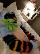 [M] Ferret Playing By Himself In Bed, Waiting For Someone To Lend A Hand~