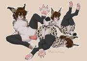 Pawbs - Kyotoleopard