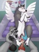 Breeding Program [Mf] (Paper-Wings)