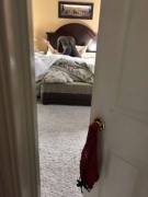 &Amp;Quot;Hey, Mom, I Was Wondering If You....what The Fuck?!&Amp;Quot;