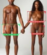 You Need To Suck This