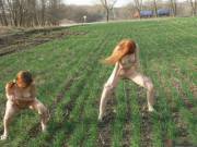 R/Pornstarwannabe On The Field