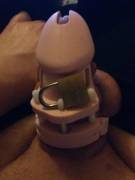 25 Y/O Virgin Sissy, Dick Has Never Been Used, Did The Only Thing That Makes Sense. ...