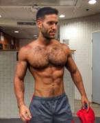 100% Arabian Stallion.