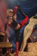 Harley Quinn (From The Youtube Parody 'Bat-Romance')