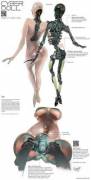 Futuristic Sexbot Concept Art