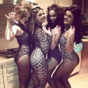 Almost 100% Matching Kitties