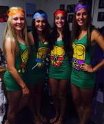 I Like These Turtles.