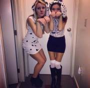 Haven't Seen Any Dalmatians Here