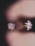 Spring Is Here, The Flowers Are In Bloom.