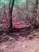 Katya Cover - Nothing To Hide (X-Post /R/Playboy)