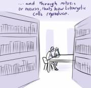 Goo Girl/Library [Lemonfont]