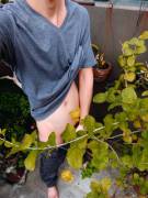 You'll Find Me Behind The Bushes