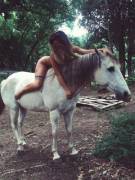 Girl On Fb Posted This Cover Photo Of Her On A Horse