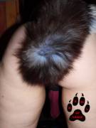 Gf's Tail Plug W/Werewolf Hanging Too. {Cross Posted In R/Baddragon}