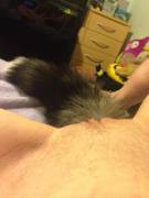 My Master Can't Play With Me So I Have To Play By Myself. Sad Kitty.