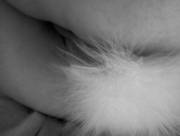 Thanks To A Generous New {F}Riend, Reddit Has Themselves A New Bunny