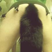 I Love My Tail. Would You Pet Me?
