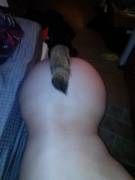 My Gf Bought Her First Tail Today. Wanted To Share. Go Easy