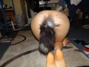 We're Back (Again)! Caned Kitty