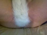Chubby Fe[M]Boy's First Tail ^3^