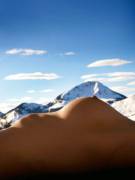 Matching The Background