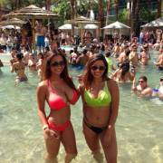 Isn't It Lucky To Be The Centre Of Focus?