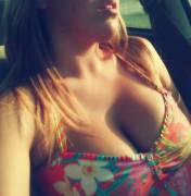 They Glisten In The Sunshine (F)