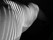 Body Landscape With Stripes (F)