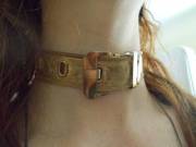 My Ginger Has Been A Good Girl So I Fashioned Her A New Collar.