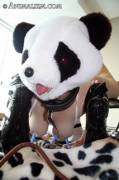 Playing With His Panda Girl