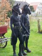 Found In R/Wtf. Better Suited Here.