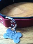 My Pup's Collar And Tag