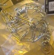 Bought Myself A New Play Collar :-D Can't Wait For Wolfie-Sir To Put It On Me For ...