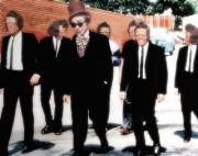 Wonka Dogs (X-Post From /R/ Funny)