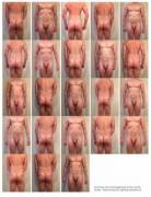 Progress Pictures Since The Beginning Of The Month. I'm Struggle To Eat Better, But ...