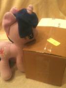 A Mysterious Package Has Arrived! Hint: It's A Bd Mary. Trip Report In Comments.