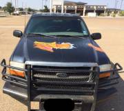 Guys I Found A Baby.