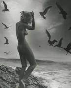 Marilyn Monroe Gallery