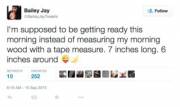 Best (Non-Picture) Tweet By Bailey Ever?