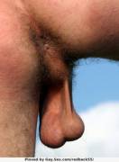 Sexy Ass And Balls