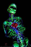Bio Luminescent Skeleton