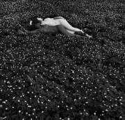 Black And White Field