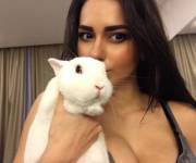 Follow The White Rabbit