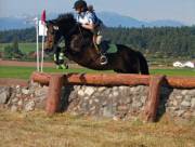 Murica: Home To The Sweetest Asses Around