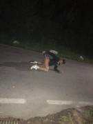 Let's Just Stop In The Street, Take Off Your Pants, And Shove A Bottle Up Your Ass. ...