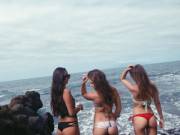 Black, White, And Red On Rocks