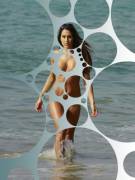 Wwe Diva Nikki Bella