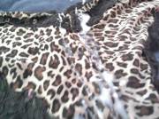 [Proof] Cum On Family Member's Panties, Put Back In Drawer